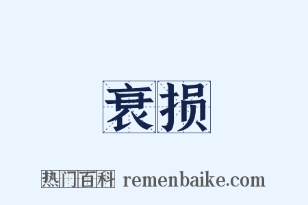 衰损是什么意思的图片